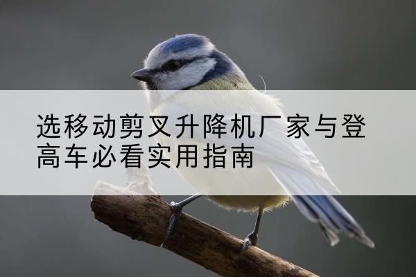 勉县电动升降机厂家-选移动剪叉升降机厂家与登高车必看实用指南