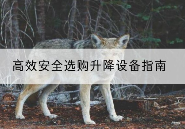 勉县升降货梯厂家推荐-*安全选购升降设备指南