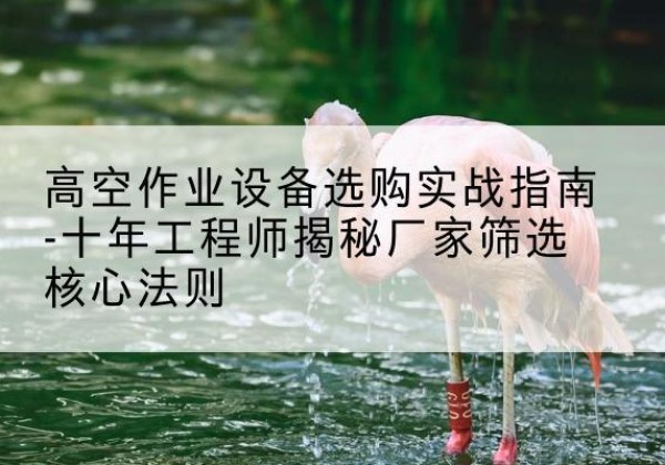 勉县剪叉式升降机厂家-高空作业设备选购实战指南-十年工程师揭秘厂家筛选核心法则